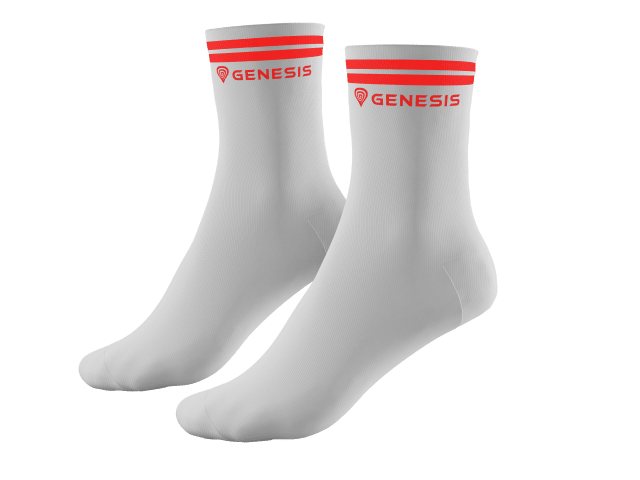 Genesis 